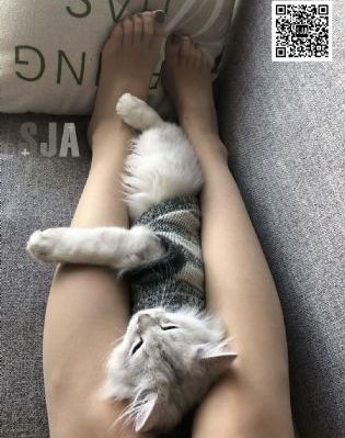 亚洲国产在线欧美_蓝光全集免费观看