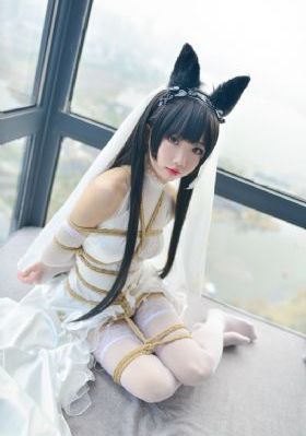 2017欧美动作电影_BD韩语高清在线